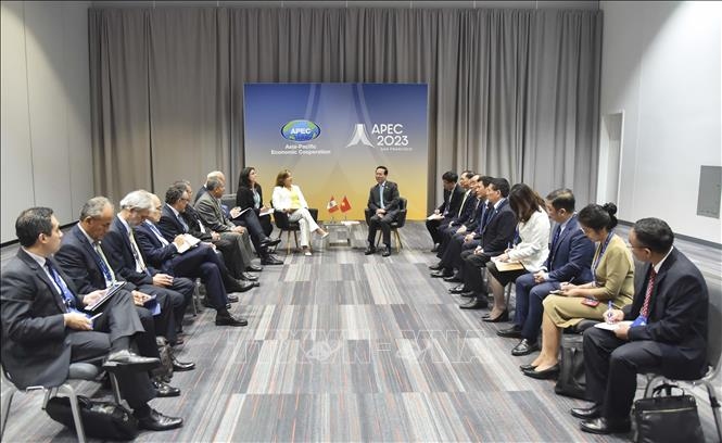 Vietnam and Peru vow to strengthen all-round cooperation